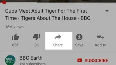 YouTube Download скриншот 3