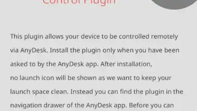 AnyDesk plugin ad1 скриншот 8