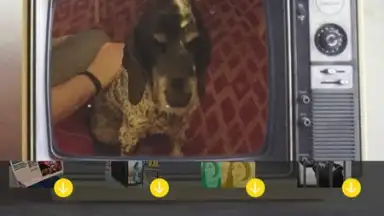 V Camera скриншот 5