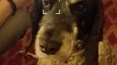 V Camera скриншот 7