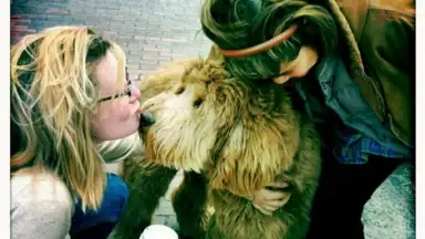 Timehop скриншот 3