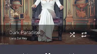 MSC Player скриншот 6