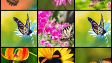 Butterfly Flower for DoodleTex скриншот 3