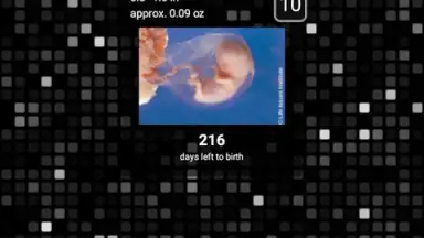 Pregnancy Assistant скриншот 1