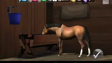 My Horse скриншот 4