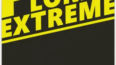 SRPG - Pocket Lord EX скриншот 1