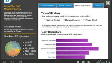 SAP BI скриншот 1