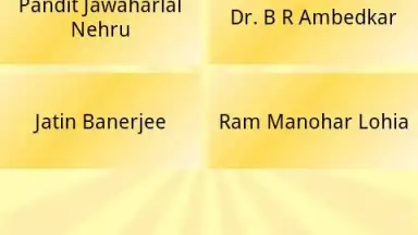 Desi Calendar скриншот 3