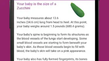 Im Expecting скриншот 4