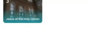 The Holy Quran - English скриншот 1