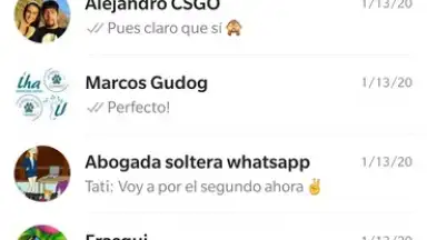 WhatsApp Messenger скриншот 26