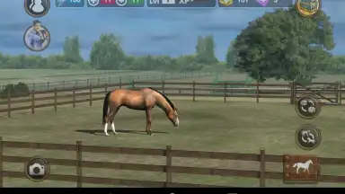 My Horse скриншот 8