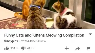 X Web Browser скриншот 4