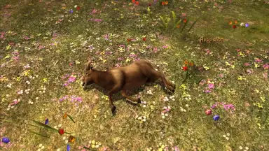 Deer Hunter Classic скриншот 4