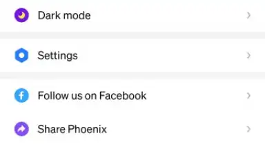 Phoenix Browser скриншот 2