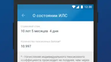 ПФР Электронные сервисы скриншот 3