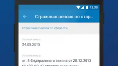 ПФР Электронные сервисы скриншот 2