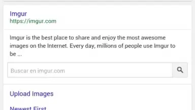 Ding Browser скриншот 2