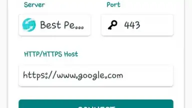 FLS Tunnel скриншот 2