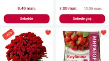 Ozan скриншот 5