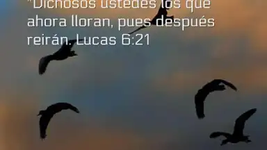 Promesas скриншот 3