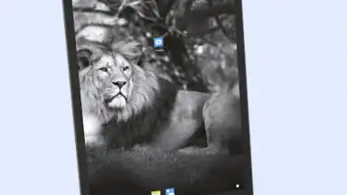 Android 13 Launcher скриншот 12