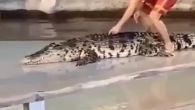 ClipClaps скриншот 5