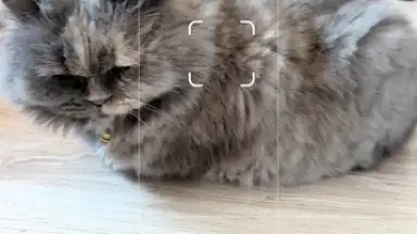 Camera Go скриншот 12