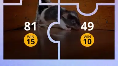 100 PICS Puzzles скриншот 5