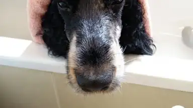 MakeupPlus скриншот 7