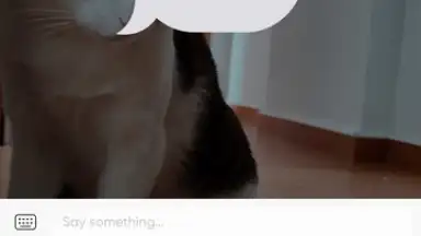 PicsArt скриншот 16