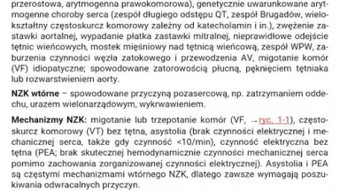 eMPendium скриншот 1