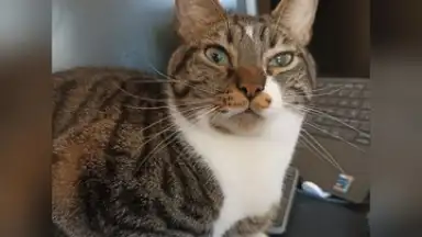 InShot скриншот 2