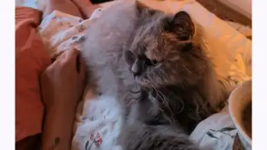 Google Keep скриншот 10