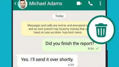 Status Saver - WA Downloader Pro скриншот 4