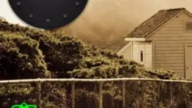 Прием лекарств скриншот 1