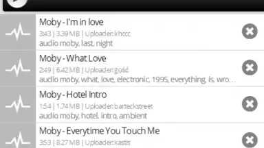 WDownloader скриншот 4