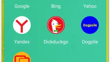 Google Search Alternatives скриншот 1