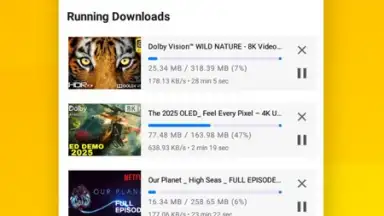 Vidora YouTube Downloader | free & fast скриншот 6