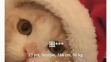 Rela скриншот 2