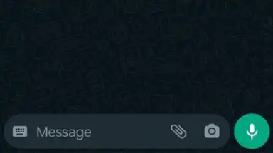 WhatsApp Messenger скриншот 23