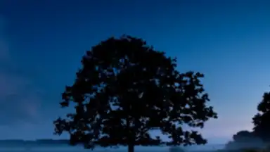 Расслабьтесь ночь скриншот 7