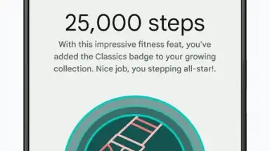 Fitbit скриншот 9
