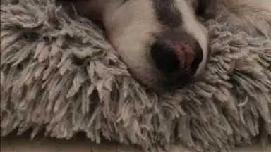 InShot скриншот 13