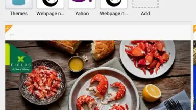 Boat Browser скриншот 9