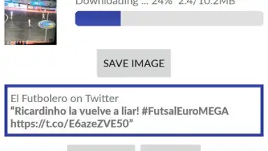 Video Downloader for Twitter скриншот 2