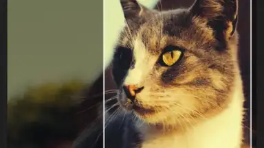 POMELO Camera скриншот 8