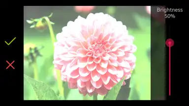 After Effect скриншот 4