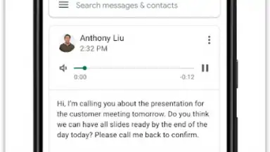 Google Voice скриншот 3