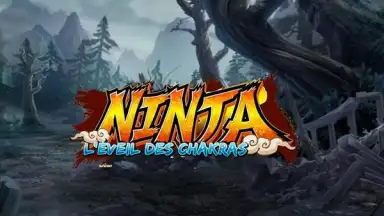Ninja скриншот 1